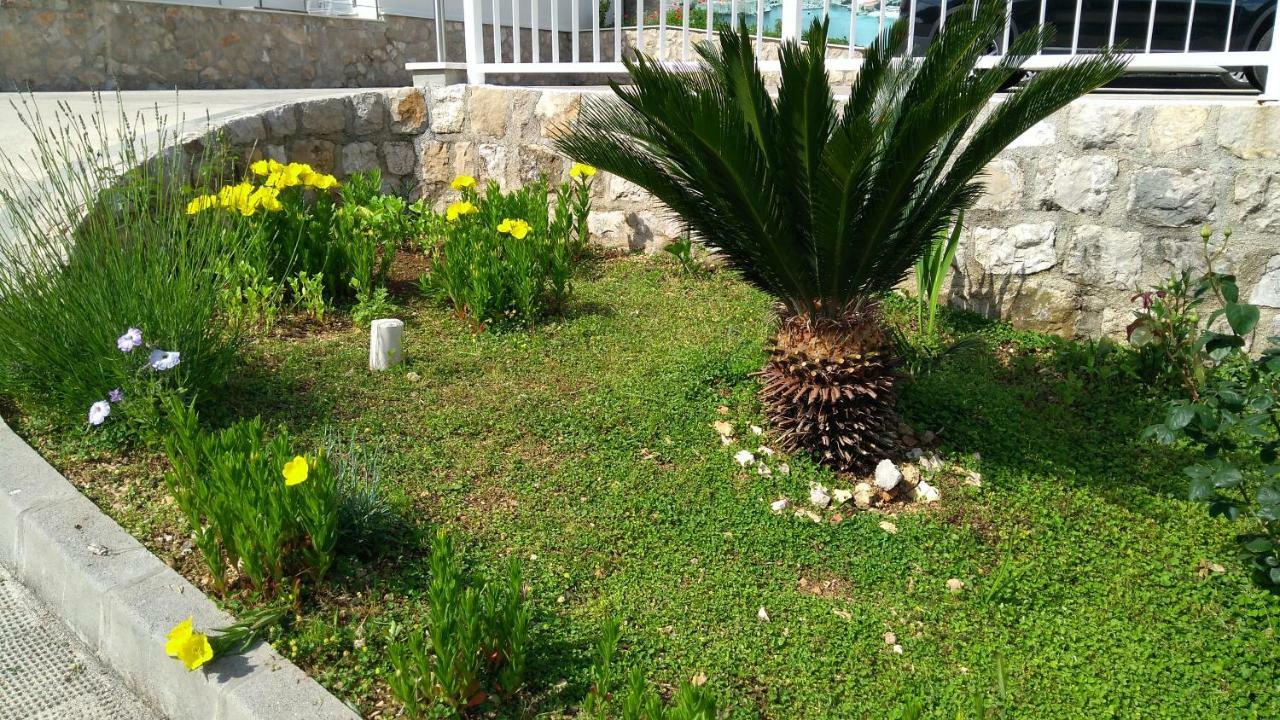 Guest House Eight Roses Dubrovnik Dış mekan fotoğraf